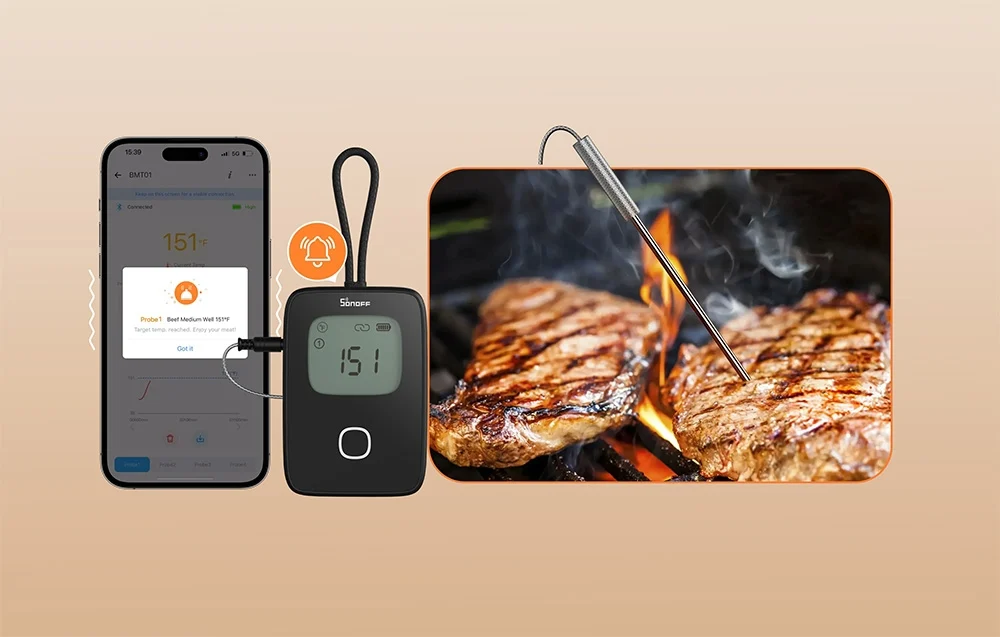 sonoff bmt01 θερμόμετρο κρέατος bbq