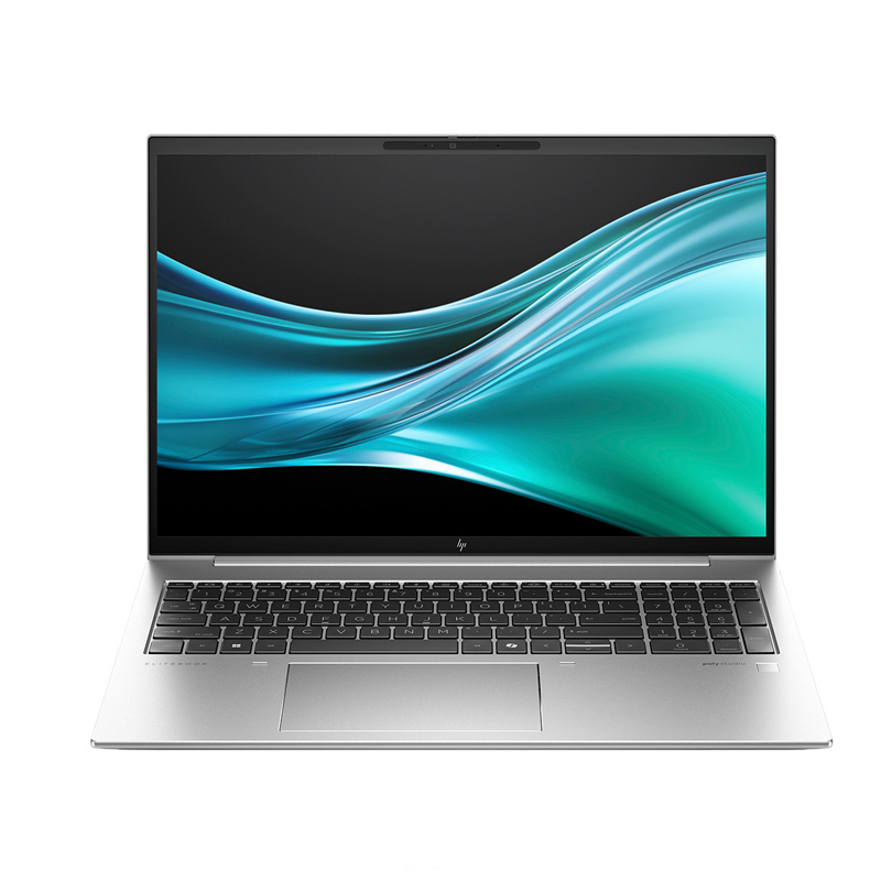 HP EliteBook 865 G11 Laptop 16” WUXGA Silver