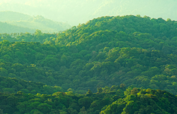 dell-s2725dc-27-qhd-ips-monitor-usb-c-12