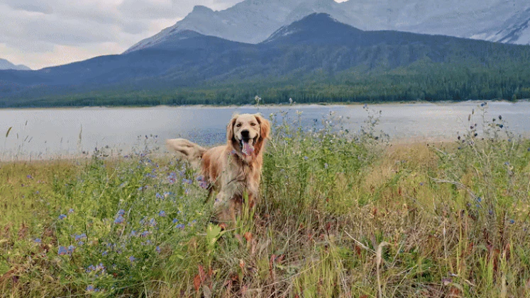 dji-osmo-pocket-3-action-camera-black-5